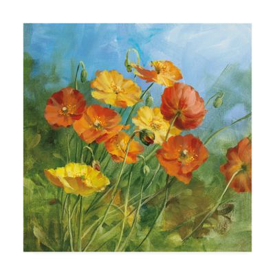 Trademark Fine Art Summer Field IV by Danhui NAI, 18x18
