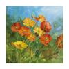 Trademark Fine Art Summer Field IV by Danhui NAI, 18x18 view 1