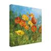 Trademark Fine Art Summer Field IV by Danhui NAI, 18x18 view 2