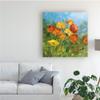 Trademark Fine Art Summer Field IV by Danhui NAI, 18x18 view 3