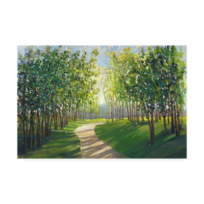 Trademark Fine Art Walking Trail I by Tim Otoole, 16x24