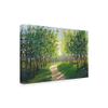 Trademark Fine Art Walking Trail I by Tim Otoole, 16x24 view 2