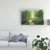 Trademark Fine Art Walking Trail I by Tim Otoole, 16x24 view 3