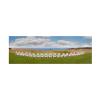 Wrapped Canvas Wall Art - Monte Nagler 'Arcadia Bluff Panorama Arcadia Michigan' Wall Art for Living Room, Bedroom, or Office Dcor - 10x32 view 2