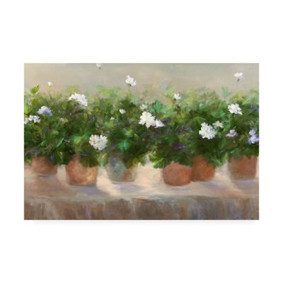 Trademark Fine Art White Geraniums by Sheila Finch, 16x24