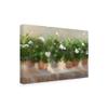 Trademark Fine Art White Geraniums by Sheila Finch, 16x24 view 2