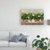 Trademark Fine Art White Geraniums by Sheila Finch, 16x24 view 3
