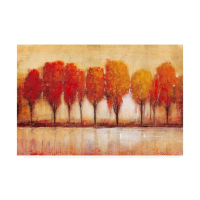 Trademark Fine Art Autumn Waters Edge by Tim Otoole, 16x24