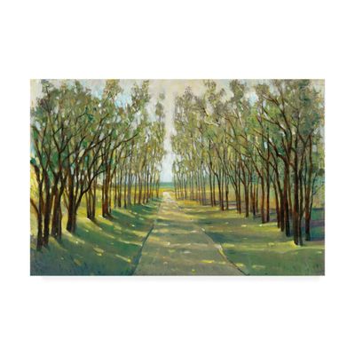 Trademark Fine Art Forest Path by Tim Otoole, 16x24