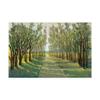 Trademark Fine Art Forest Path by Tim Otoole, 16x24 view 1