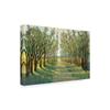 Trademark Fine Art Forest Path by Tim Otoole, 16x24 view 2