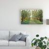 Trademark Fine Art Forest Path by Tim Otoole, 16x24 view 3