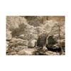 Trademark Fine Art Bridge at Japanese Tea Garden San Francisco California by Monte Nagler, 16x24 view 1