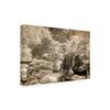 Trademark Fine Art Bridge at Japanese Tea Garden San Francisco California by Monte Nagler, 16x24 view 2