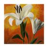 Trademark Fine Art White Flower Over Orange Light 1 by Pablo Esteban, 18x18 view 1