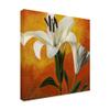 Trademark Fine Art White Flower Over Orange Light 1 by Pablo Esteban, 18x18 view 2