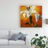 Trademark Fine Art White Flower Over Orange Light 1 by Pablo Esteban, 18x18 view 3
