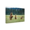 Trademark Fine Art Alert Bears by Renee Doyle, 16x24 view 2