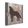 Trademark Fine Art Southwest Lodge Animals II by Vision Studio, 18x18 view 2