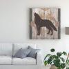 Trademark Fine Art Southwest Lodge Animals II by Vision Studio, 18x18 view 3