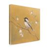 Trademark Fine Art Black Capped Chickadee on Gold by Danhui NAI, 24x24 view 2