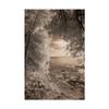 Trademark Fine Art Tree Frame Sepia by Monte Nagler, 16x24 view 1
