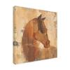 Trademark Fine Art Spirit Horse Beige by Albena Hristova, 18x18 view 2