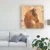 Trademark Fine Art Spirit Horse Beige by Albena Hristova, 18x18 view 3