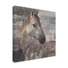 Trademark Fine Art Appaloosa by Albena Hristova, 18x18 view 2