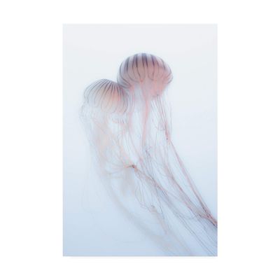 Trademark Fine Art Lovers Pink Jellyfish by Takeshi Marumoto, 16x24
