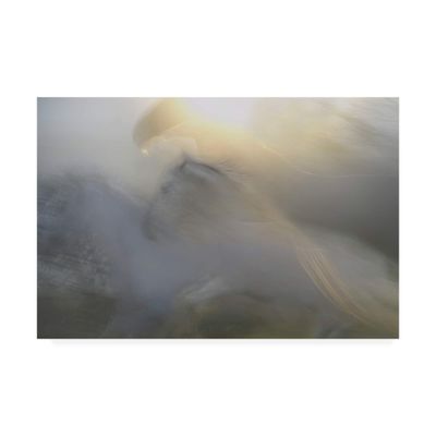 Trademark Fine Art A Dream Abstract by Milan malovrh, 16x24