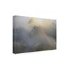Trademark Fine Art A Dream Abstract by Milan malovrh, 16x24 view 2
