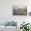 Trademark Fine Art A Dream Abstract by Milan malovrh, 16x24 view 3