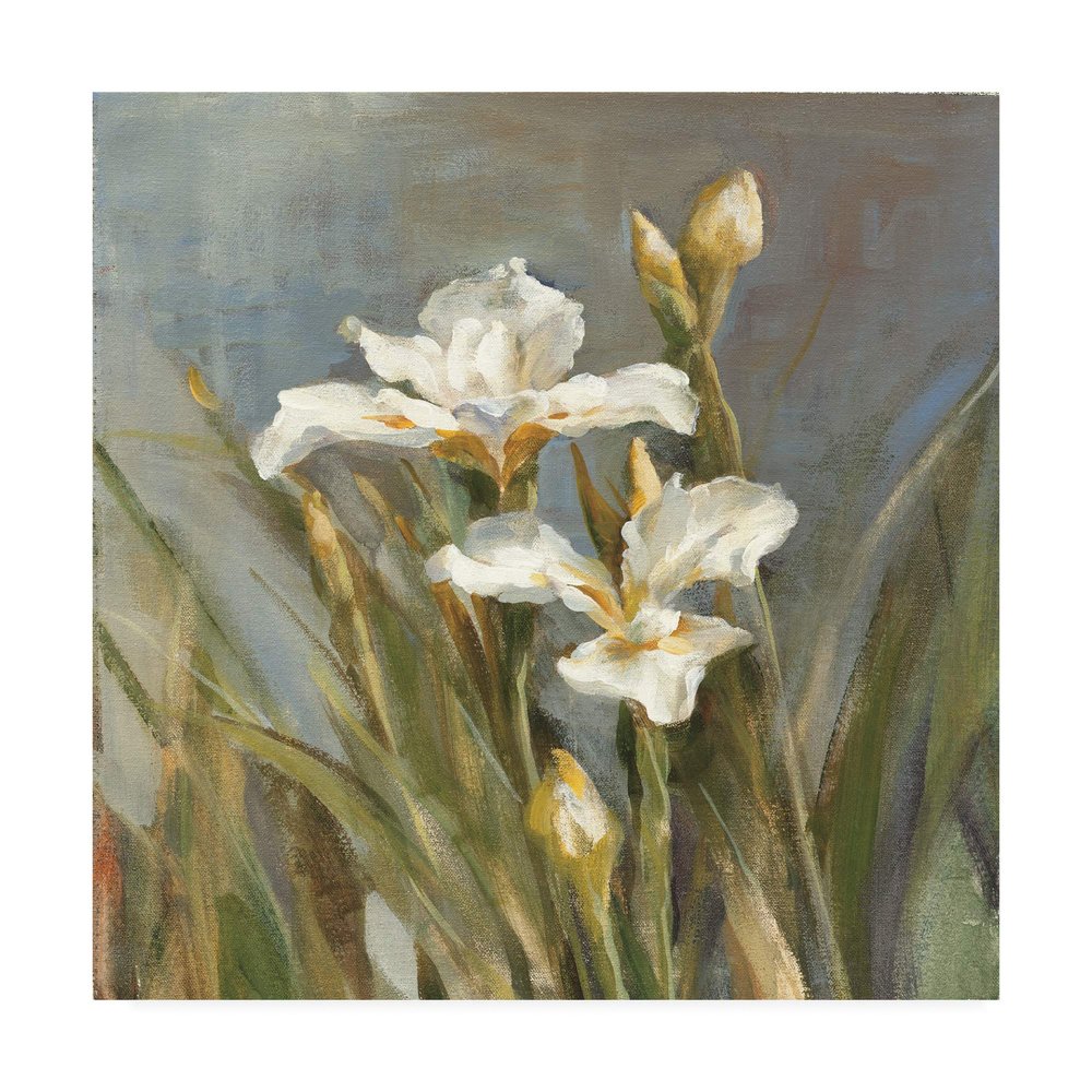 Trademark Fine Art Spring Iris II by Danhui NAI, 18x18