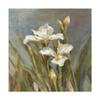 Trademark Fine Art Spring Iris II by Danhui NAI, 18x18 view 1