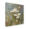 Trademark Fine Art Spring Iris II by Danhui NAI, 18x18 view 2