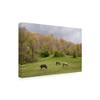 Trademark Fine Art Horses in The Field West Virginia Color by Monte Nagler, 16x24 view 2