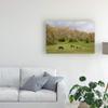 Trademark Fine Art Horses in The Field West Virginia Color by Monte Nagler, 16x24 view 3