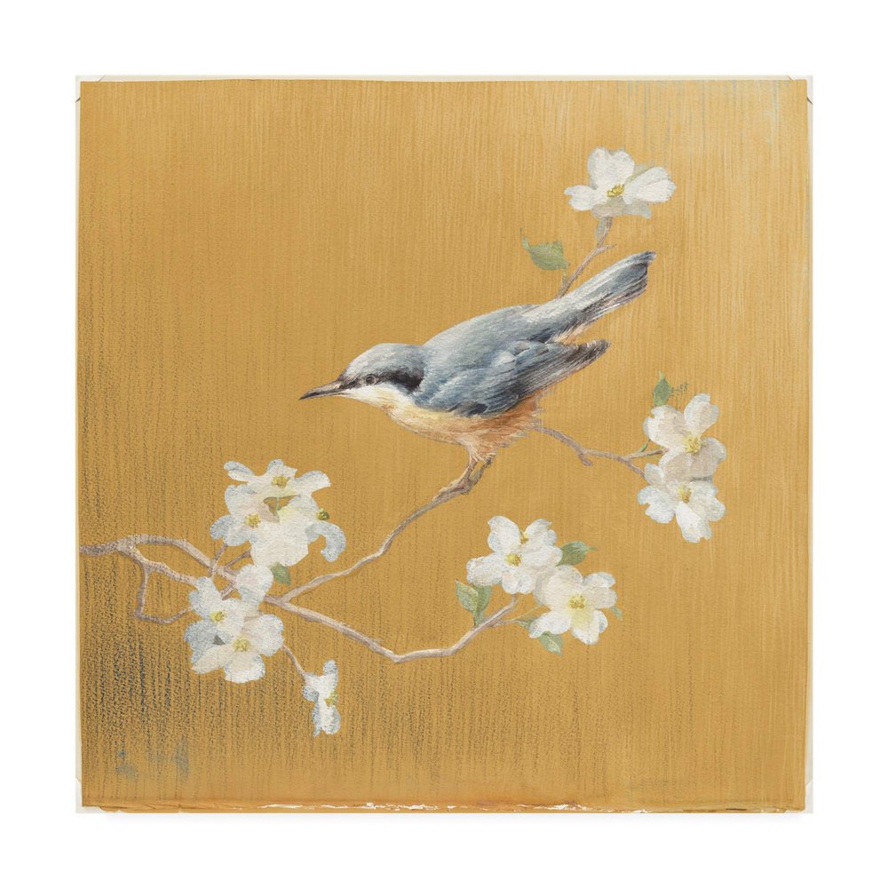 Trademark Fine Art Nuthatch on Gold by Danhui NAI, 24x24