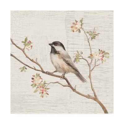Trademark Fine Art Black Capped Chickadee Vintage Painting by Danhui NAI, 18x18