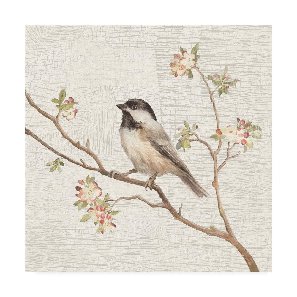 Trademark Fine Art Black Capped Chickadee Vintage Painting by Danhui NAI, 18x18
