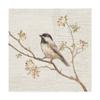 Trademark Fine Art Black Capped Chickadee Vintage Painting by Danhui NAI, 18x18 view 1