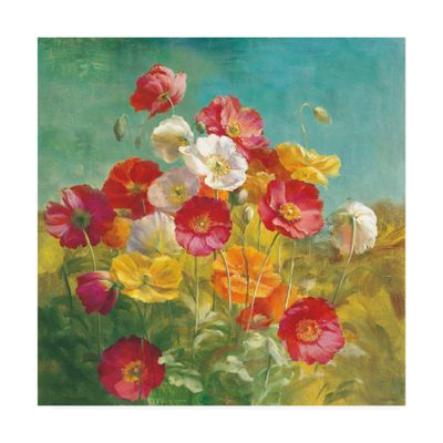 Trademark Fine Art Poppies in The Field by Danhui NAI, 18x18