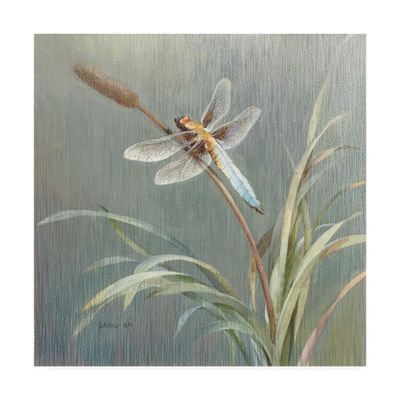 Trademark Fine Art Natural Detail IV by Danhui NAI, 18x18