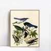Framed Canvas Giclee Print Series#124 by John James Audubon Wall Art Living Room Home Office Decorations(Wood Color Slim Frame,20"x24") view 1
