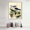 Framed Canvas Giclee Print Series#124 by John James Audubon Wall Art Living Room Home Office Decorations(Wood Color Slim Frame,20"x24") view 2
