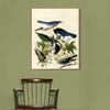 Framed Canvas Giclee Print Series#124 by John James Audubon Wall Art Living Room Home Office Decorations(Wood Color Slim Frame,20"x24") view 3