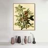 Framed Canvas Giclee Print Ground Dove by John James Audubon Wall Art Living Room Home Office Decorations(Wood Color Slim Frame,20"x24") view 2