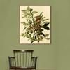 Framed Canvas Giclee Print Ground Dove by John James Audubon Wall Art Living Room Home Office Decorations(Wood Color Slim Frame,20"x24") view 3