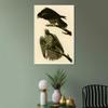 Framed Canvas Giclee Print Series#119 by John James Audubon Wall Art Living Room Home Office Decorations(White Slim Frame,20"x28") view 2